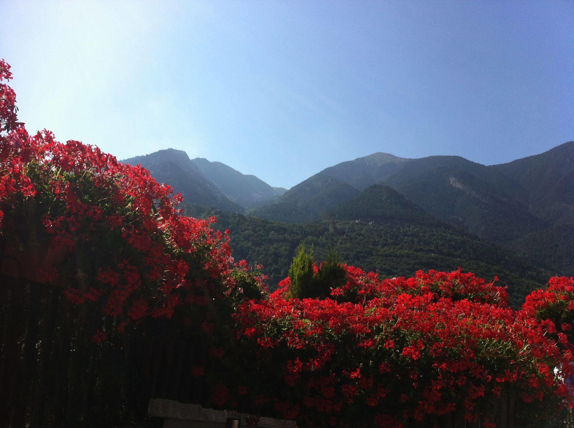 Hotel Pyrenees 3*